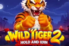 wild tiger 2